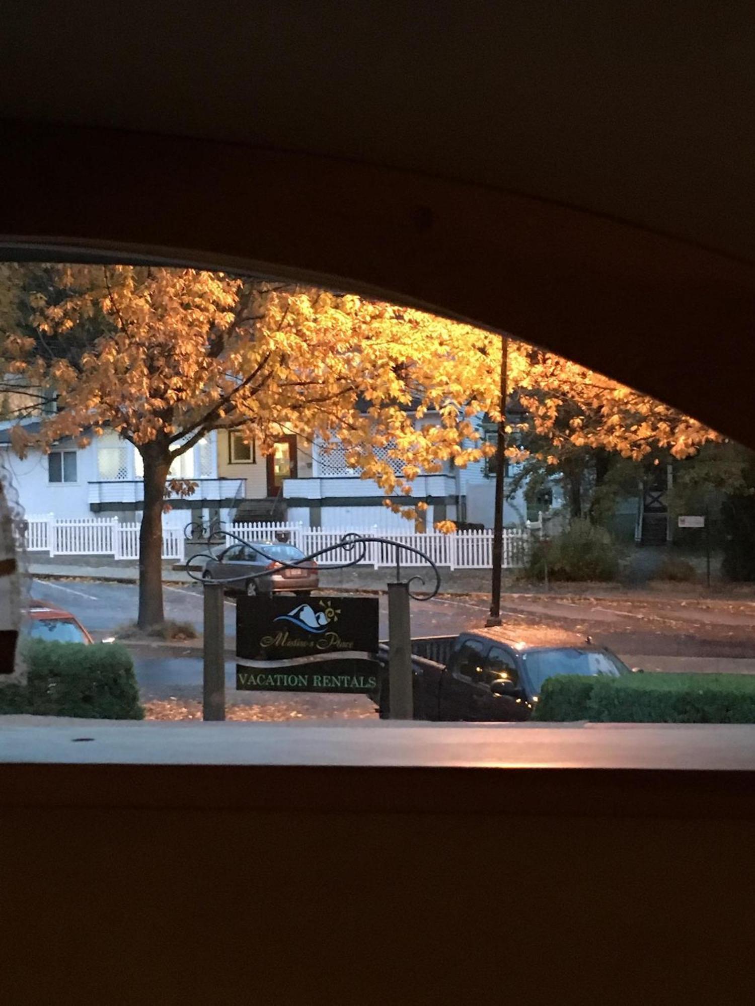 Wheelchair Accessible 2 Bedroom Downtown Urban Comfort- Pet-friendly,
