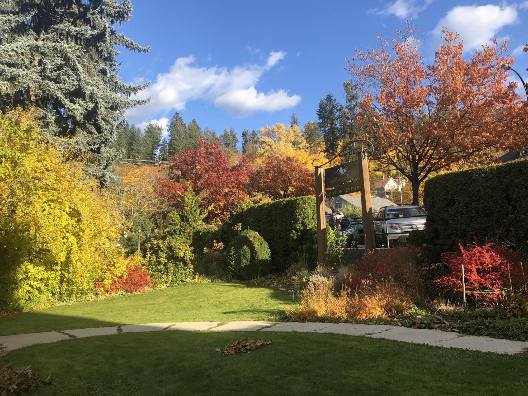 Wheelchair Accessible 2 Bedroom Downtown Urban Comfort- Pet-friendly, Apartment Nelson