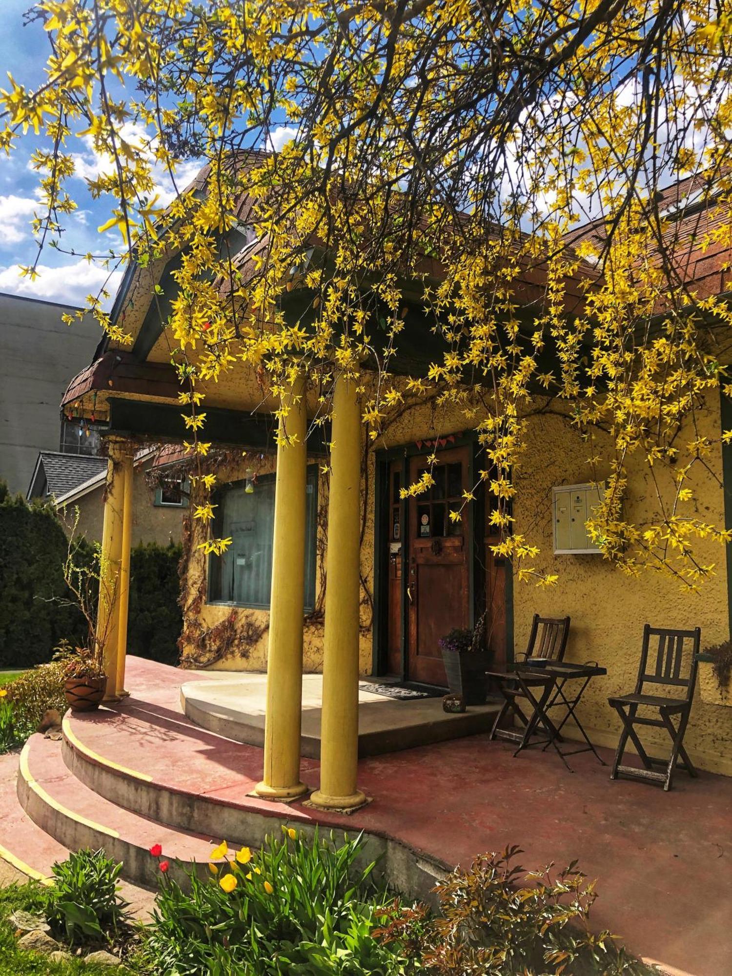 Wheelchair Accessible 2 Bedroom Downtown Urban Comfort- Pet-friendly, Apartment